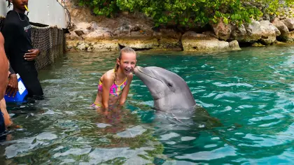 Dolphin_encounter_1_verkleind
